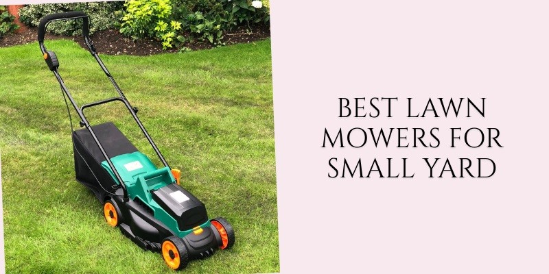 best lawn mowers for small yard