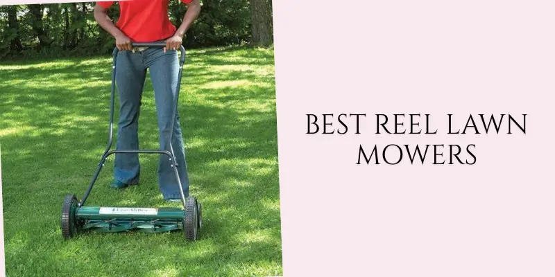 best reel lawn mowers