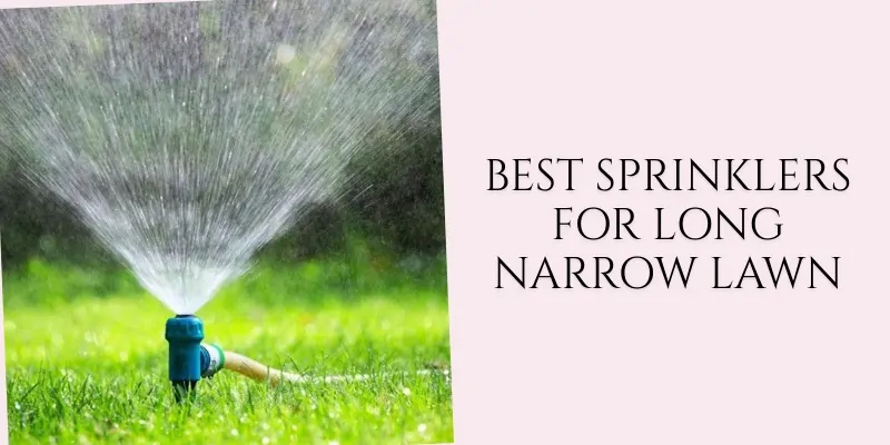 best sprinklers for long narrow lawn