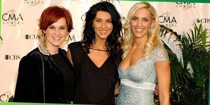 what happened to shedaisy