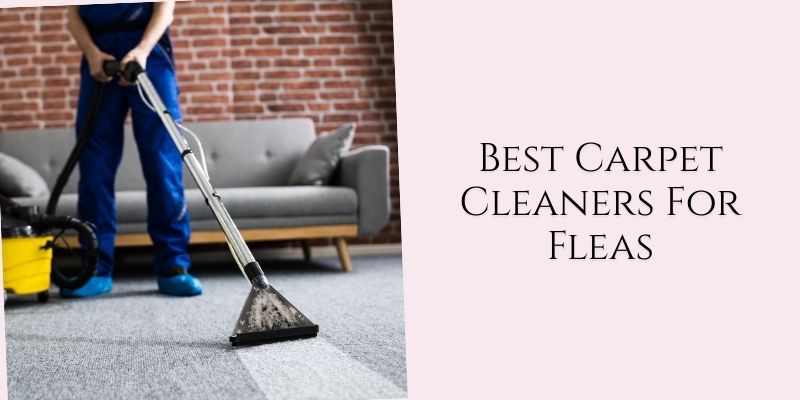 best carpet cleaners for fleas