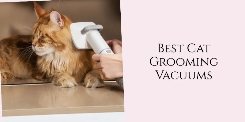 best cat grooming vacuums