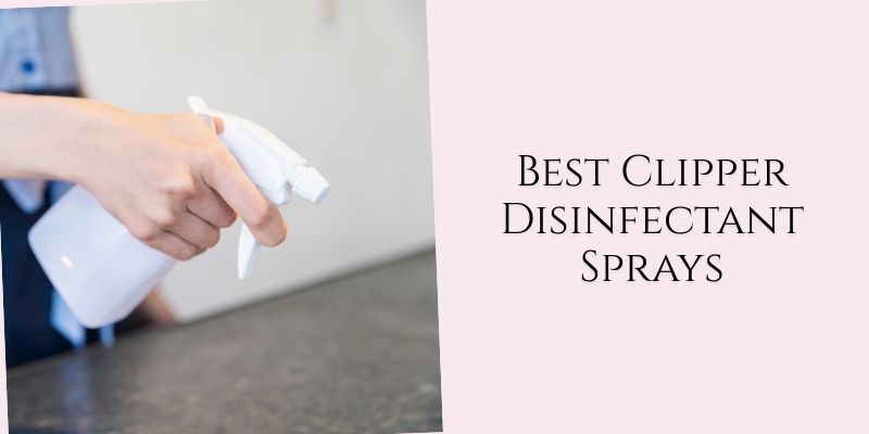 best clipper disinfectant sprays