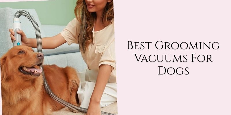 best grooming vacuums for dogs