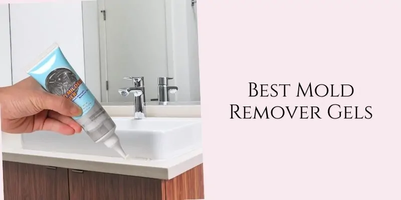 best mold remover gels