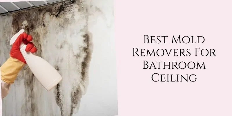 best mold removers for bathroom ceiling