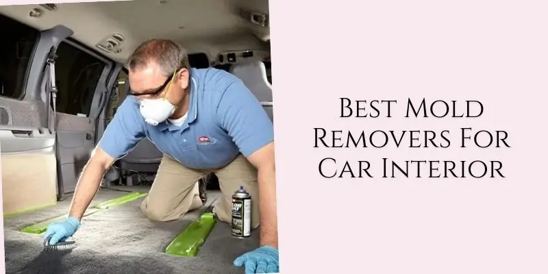 best mold removers for car interior