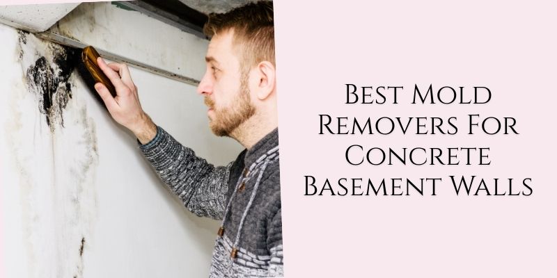 best mold removers for concrete basement walls