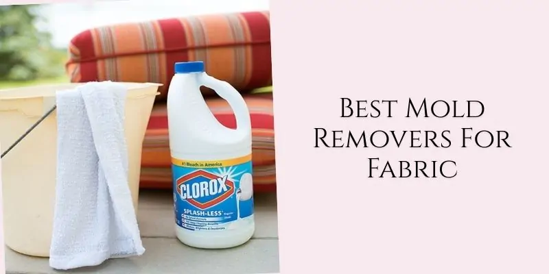 best mold removers for fabric