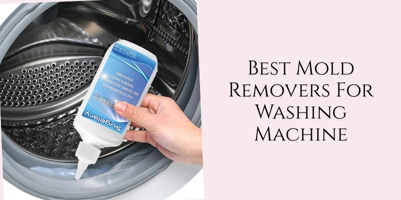 best mold removers for washing machine