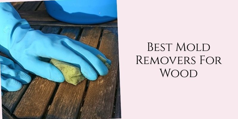 best mold removers for wood