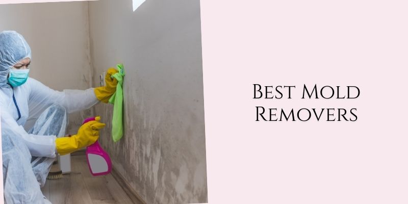 best mold removers