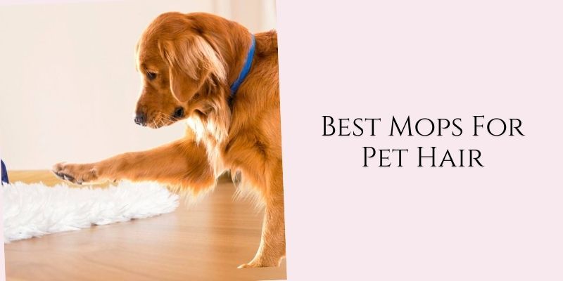 best mops for pet hair