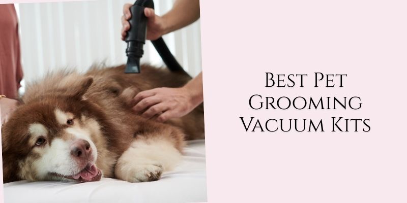 best pet grooming vacuum kits