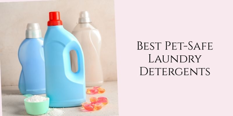 best pet-safe laundry detergents