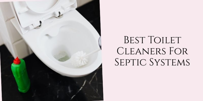 best toilet cleaners for septic systems