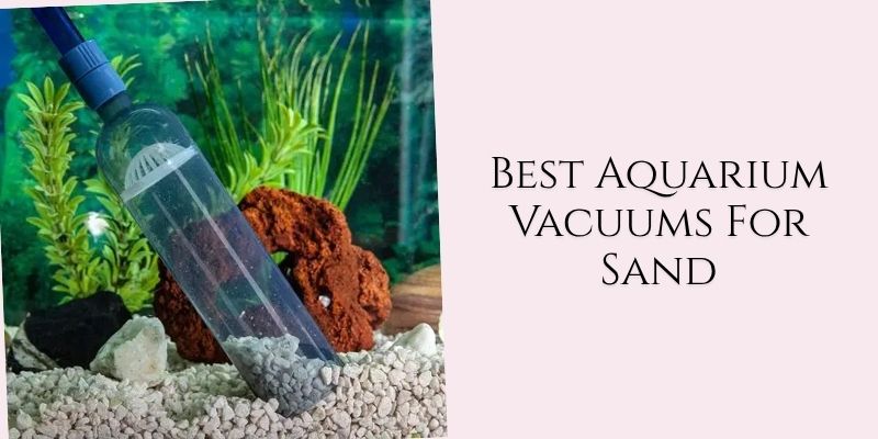 best aquarium vacuums for sand