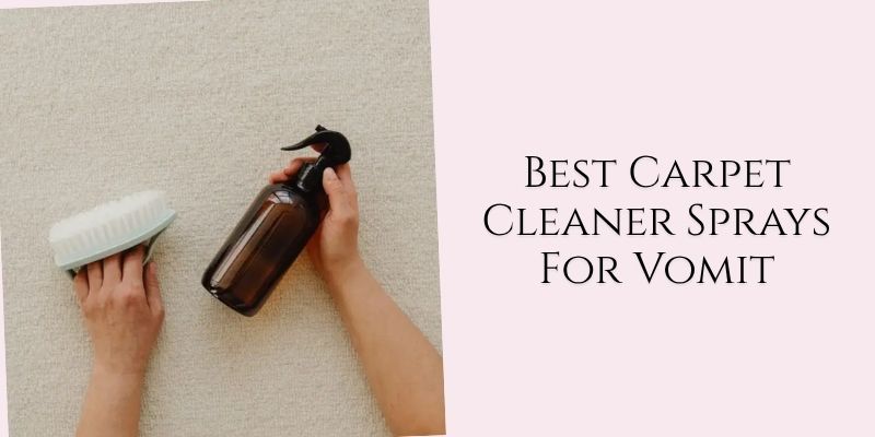 best carpet cleaner sprays for vomit