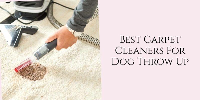 best carpet cleaners for dog throw up