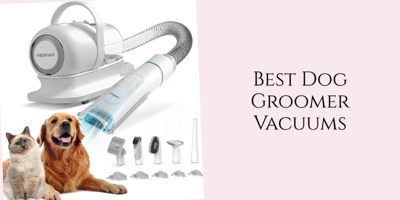 best dog groomer vacuums
