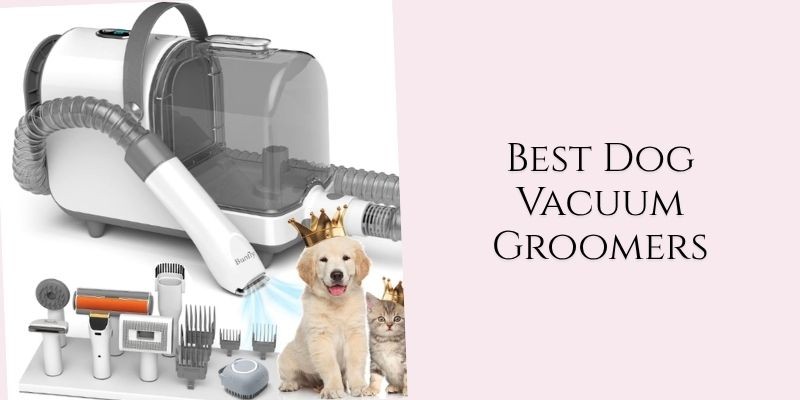 best dog vacuum groomers
