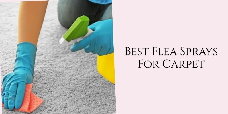 best flea sprays for carpet
