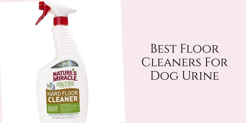 best floor cleaners for dog urine