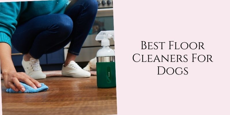 best floor cleaners for dogs