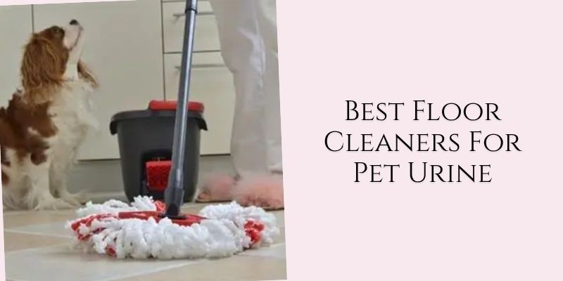 best floor cleaners for pet urine