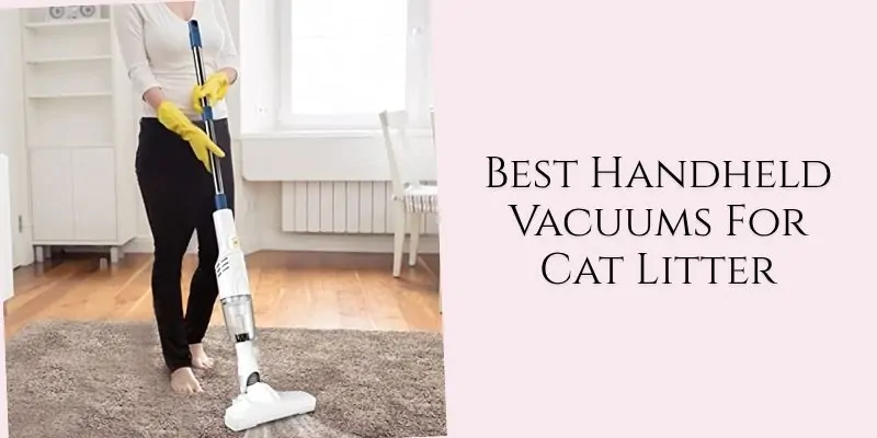 best handheld vacuums for cat litter