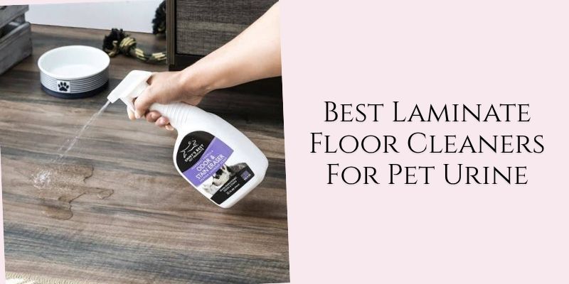 best laminate floor cleaners for pet urine