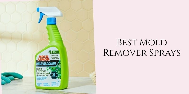best mold remover sprays
