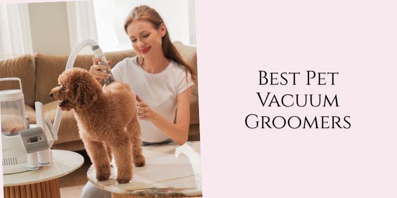best pet vacuum groomers