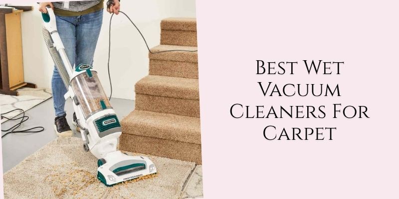 best wet vacuum cleaners for carpet