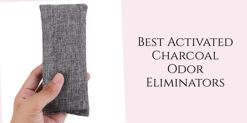 best activated charcoal odor eliminators