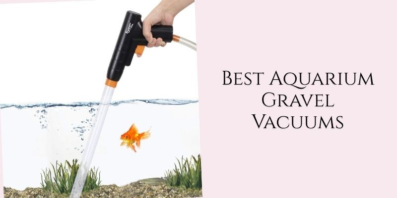 best aquarium gravel vacuums