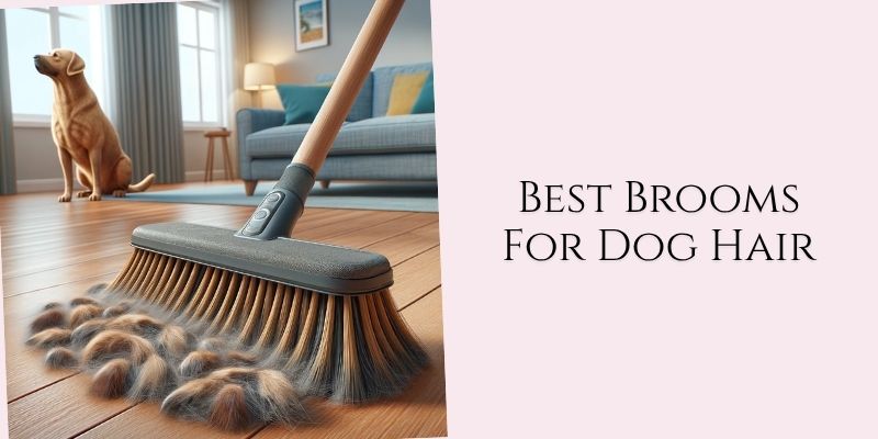best brooms for dog hair