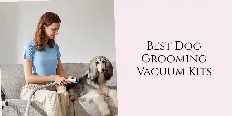 best dog grooming vacuum kits