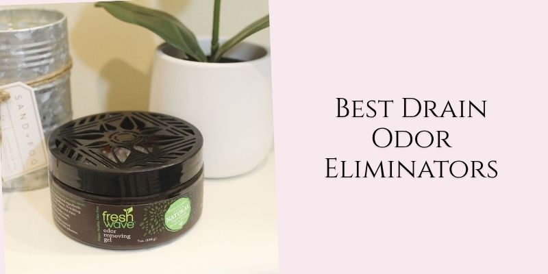 best drain odor eliminators
