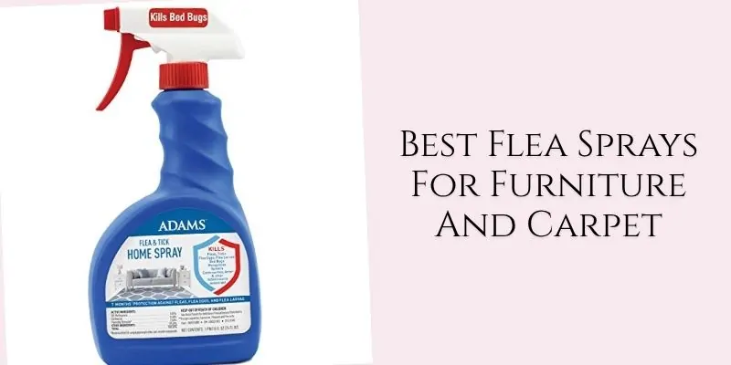 best flea sprays for furniture and carpet