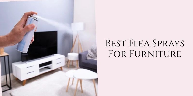 best flea sprays for furniture