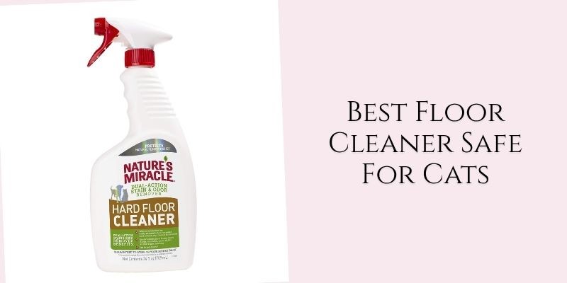 best floor cleaner safe for cats