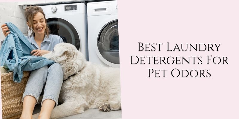 best laundry detergents for pet odors