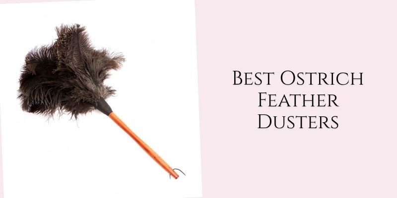 best ostrich feather dusters