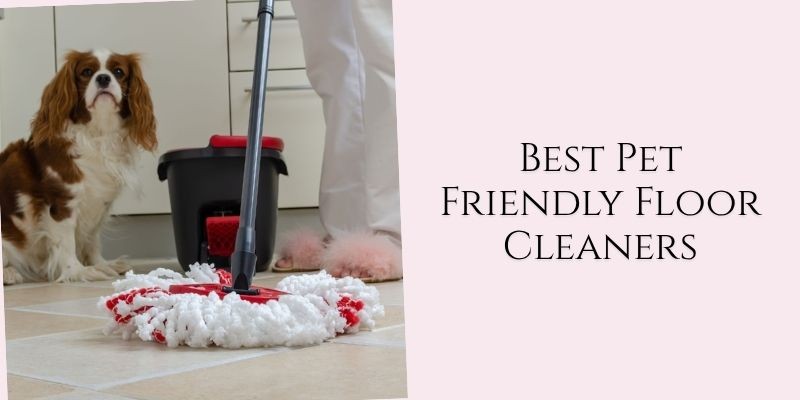 best pet friendly floor cleaners