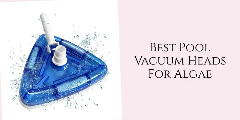 best pool vacuum heads for algae