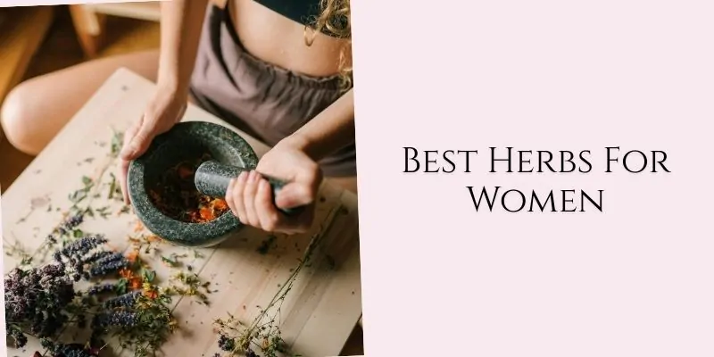 best herbs for women