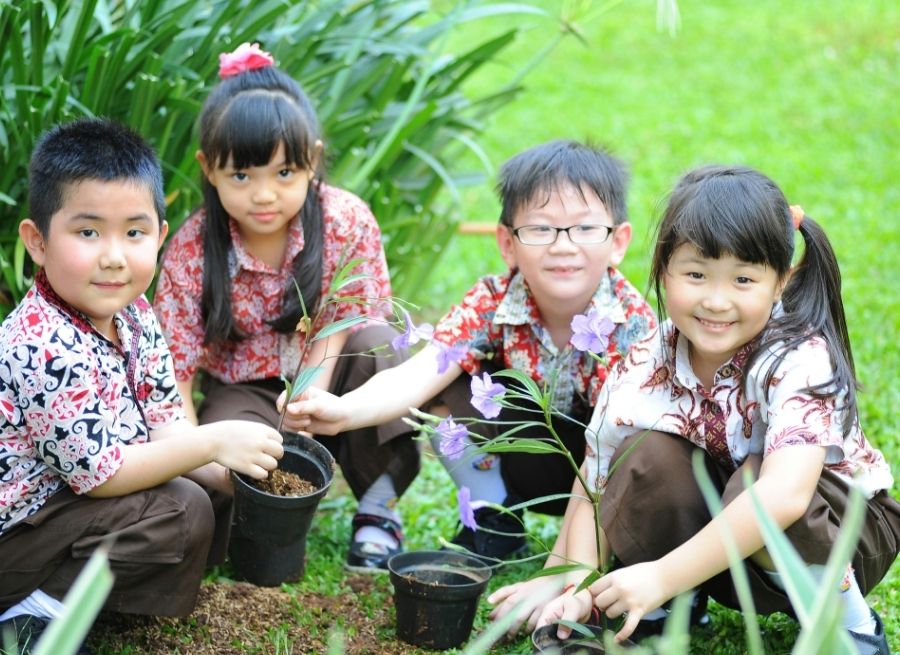 garden activities that kids can enjoy
