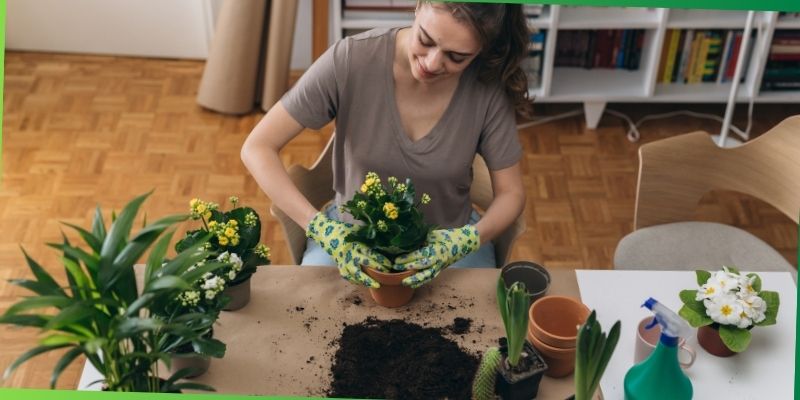simple garden ideas for small family homes