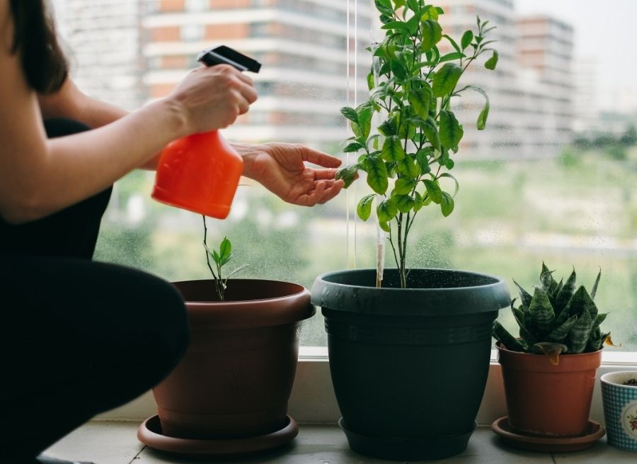 simple garden ideas for small family homes